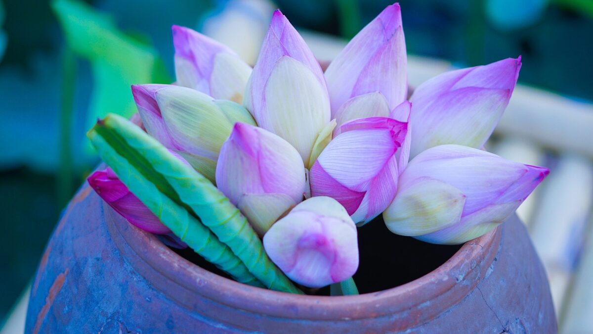 内なる庭に花を咲かせる、これからの女性の自立