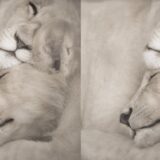 大人になってからの親との向き合い方〜「もっと抱っこしてほしかった」と思ったら、どうすればいいの？〜