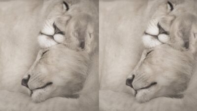 大人になってからの親との向き合い方〜「もっと抱っこしてほしかった」と思ったら、どうすればいいの？〜